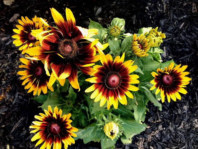 July 18, 2019