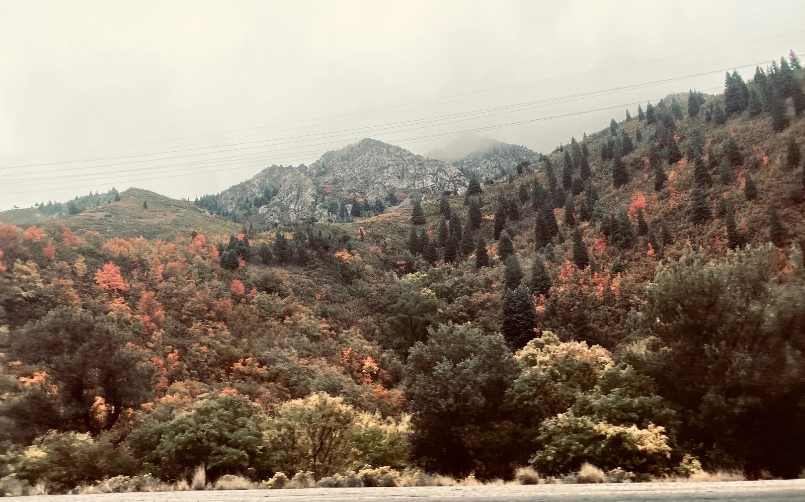 September 29, 2019 | #1