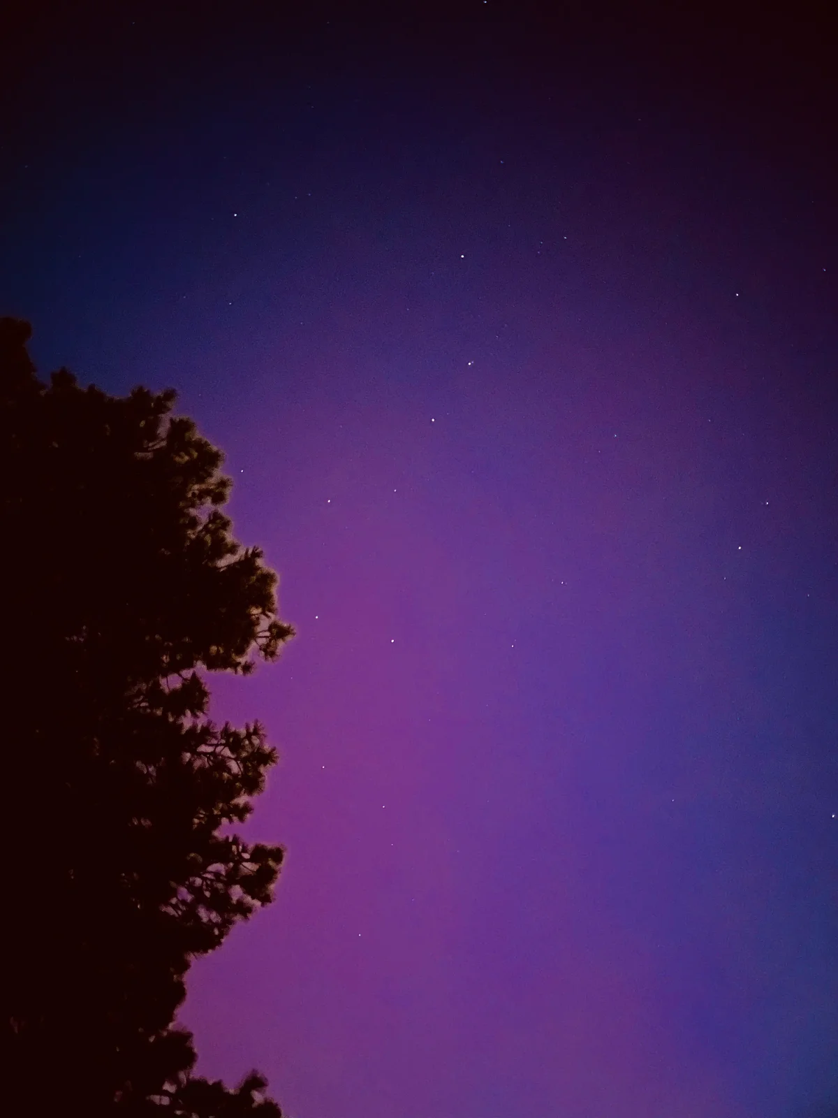 May 11, 2024 | #1