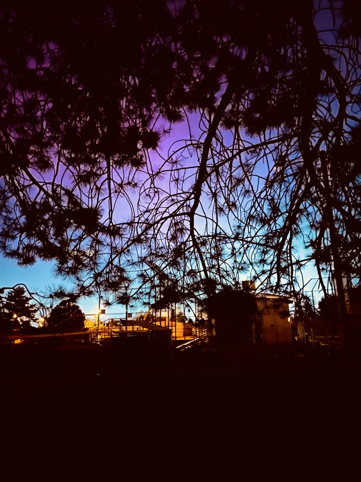 May 11, 2024 | #4