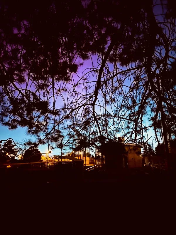 May 11, 2024 | #4